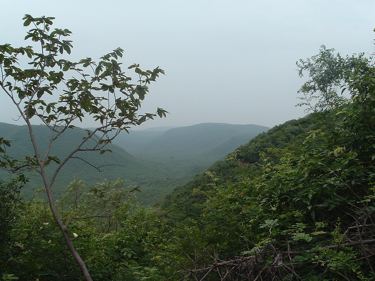 Andhra Pradesh